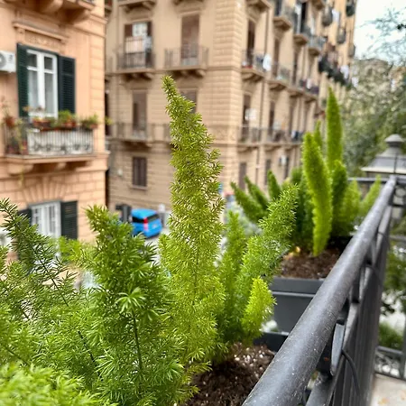 Kalsa Baroque Appartement